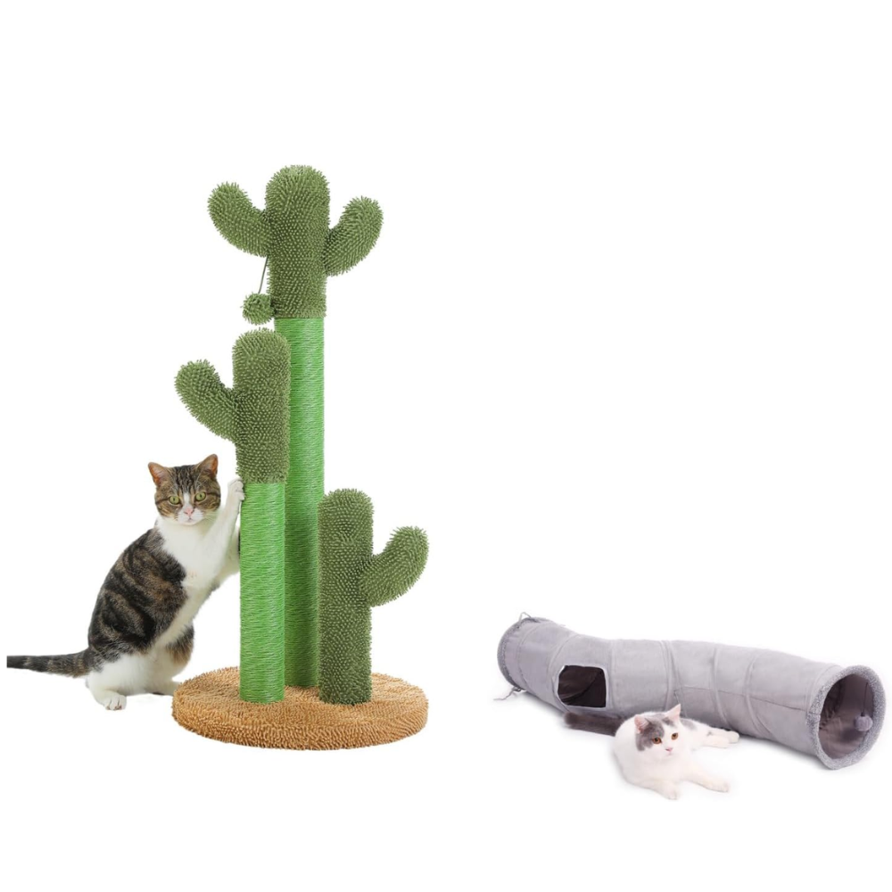 Cat Scratching Post & Tunnel – Fun Activity Center for Indoor Cats