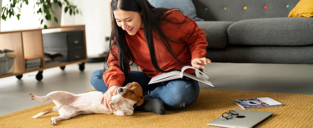 From Zoomies to Zen: Creating a Stimulating Home Environment for Cats & Dogs with the Right Products