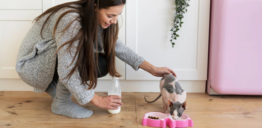 Decoding Pet Product Labels: How to Choose Safer, Healthier & Longer-Lasting Essentials for Your Furry Companion