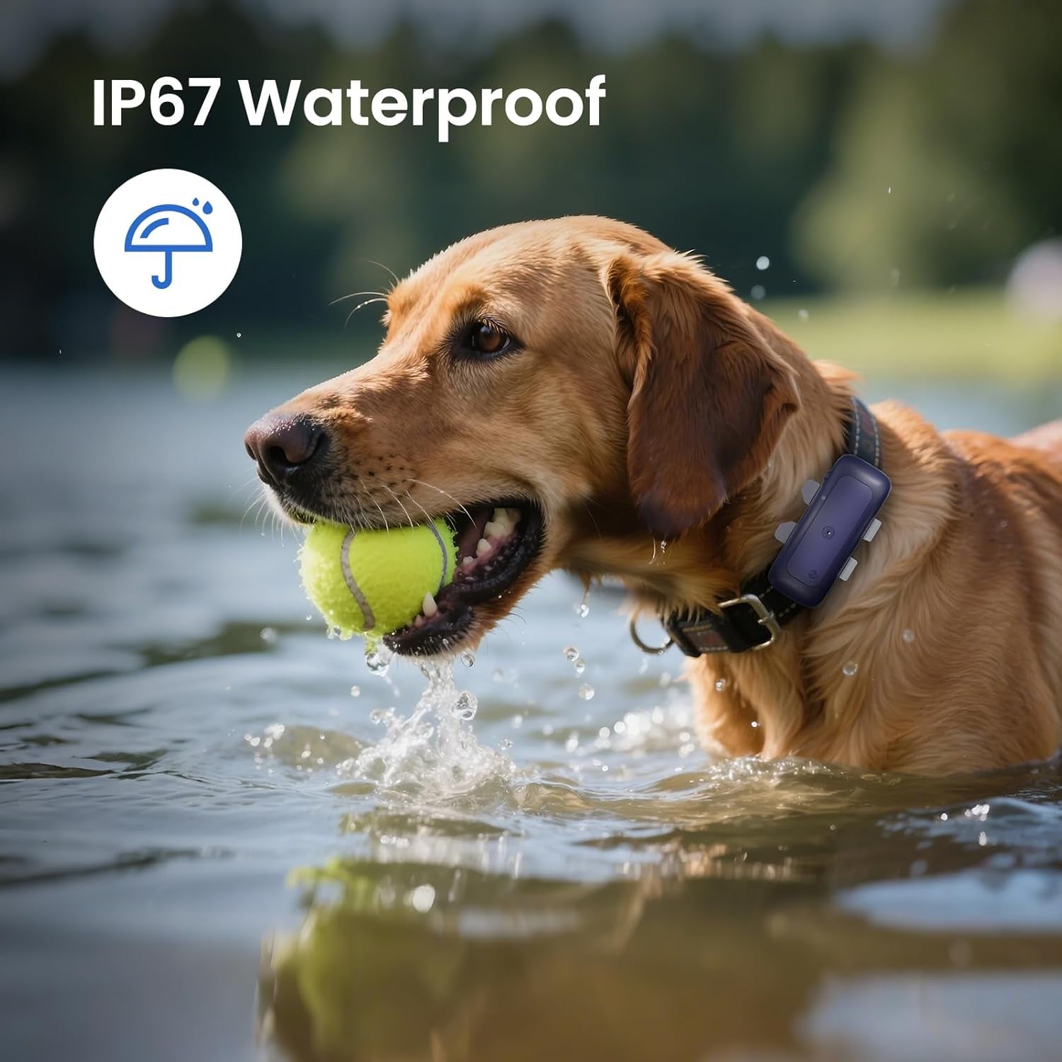 Cat Tracker Mini GPS Pet Tracker for Dogs Cats Waterproof Real-Time Location Tracker Virtual Fence 180 Days Location History 4G Cat Tracker Device for 6.5Lbs+ Pets