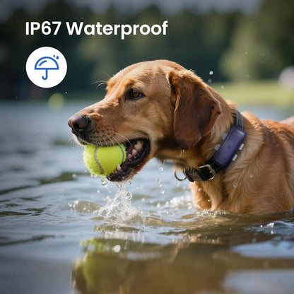 Cat Tracker Mini GPS Pet Tracker for Dogs Cats Waterproof Real-Time Location Tracker Virtual Fence 180 Days Location History 4G Cat Tracker Device for 6.5Lbs+ Pets