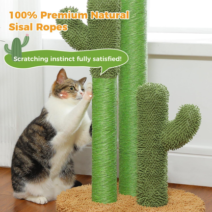 Cat Scratching Post & Tunnel – Fun Activity Center for Indoor Cats