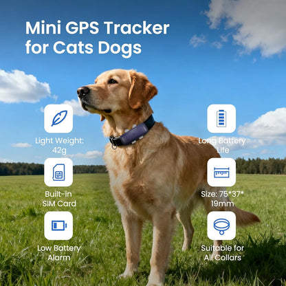 Cat Tracker Mini GPS Pet Tracker for Dogs Cats Waterproof Real-Time Location Tracker Virtual Fence 180 Days Location History 4G Cat Tracker Device for 6.5Lbs+ Pets